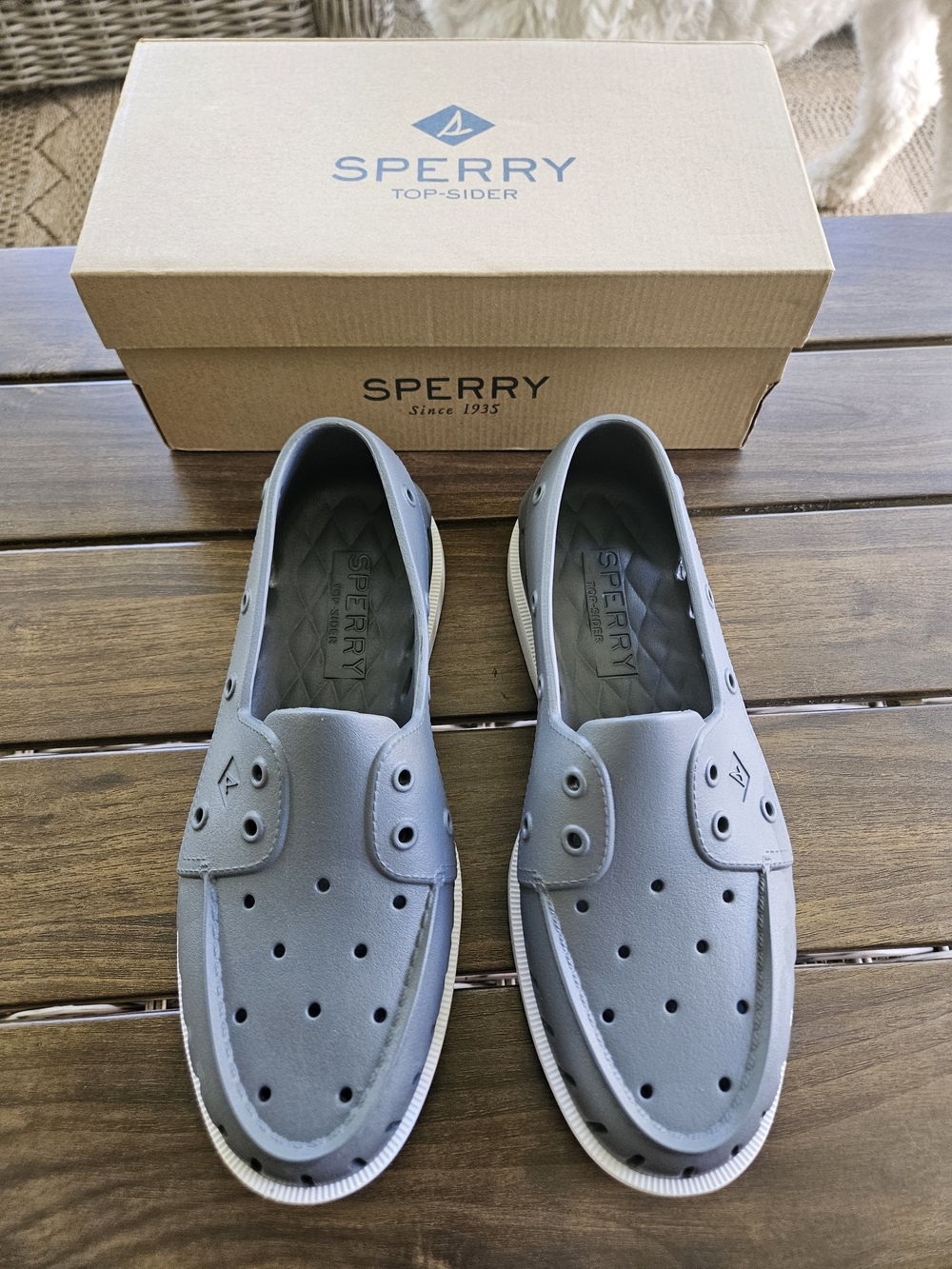 Sperry Men's Grey Slip-On Boat Shoes